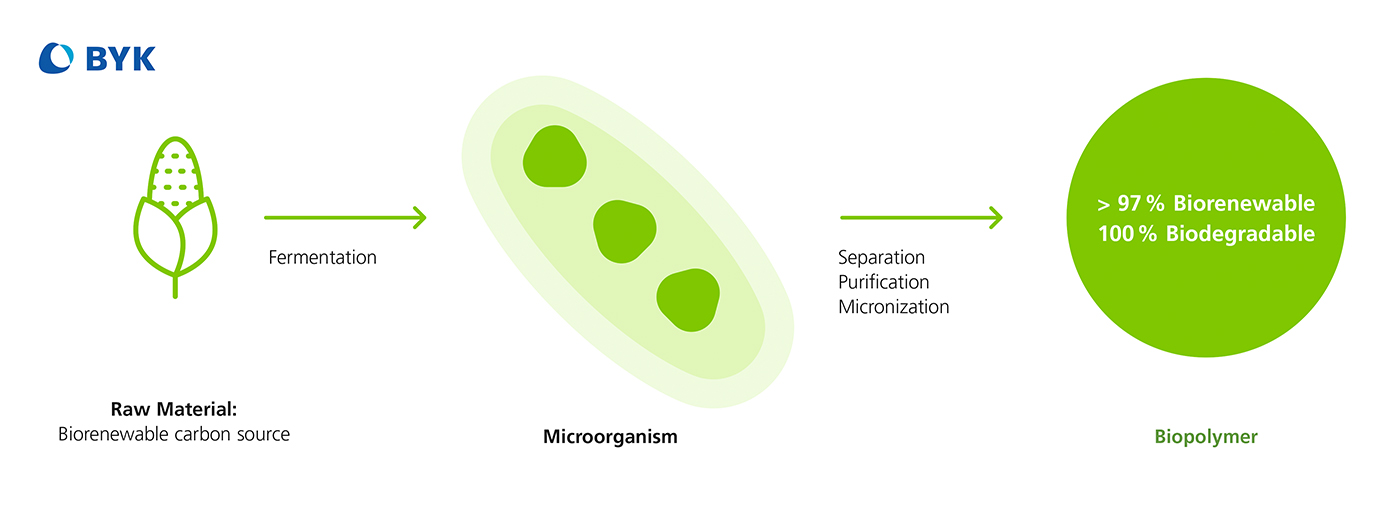 Overview of the extraction of the raw material for polymers in the CERAFLOUR 1000 series