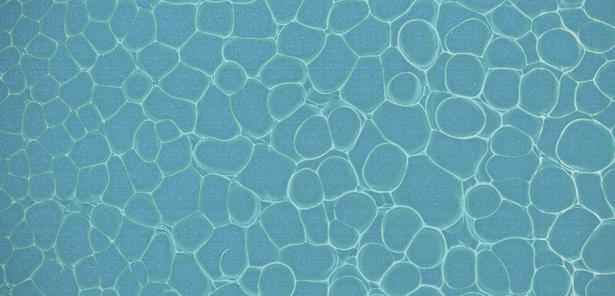 [Translate to German:] Phthalocyanine blue and titanium dioxide; formation of Bénard cells